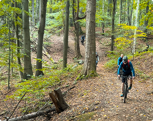 Rowerowa aktywność w lesie